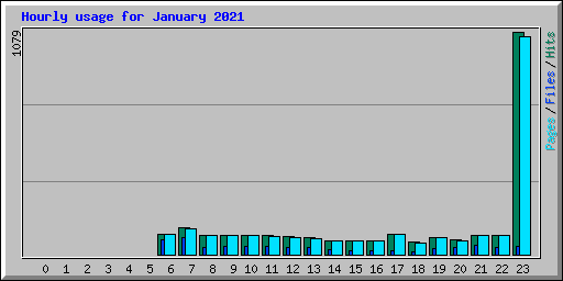Hourly usage for January 2021
