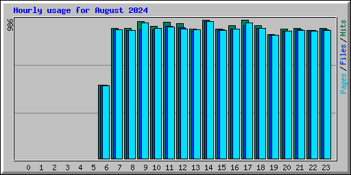 Hourly usage for August 2024